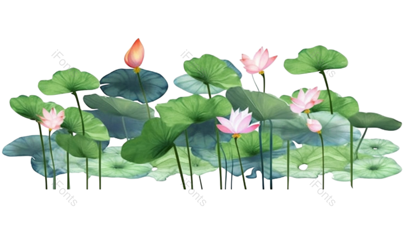叶子图片,元素元素,荷花PNG,夏天免抠素材